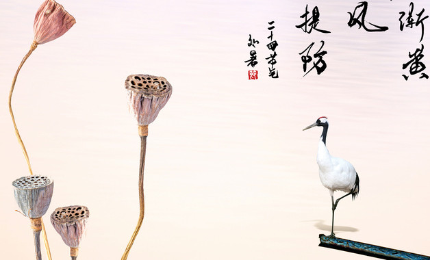 初中生转学需要哪些程序