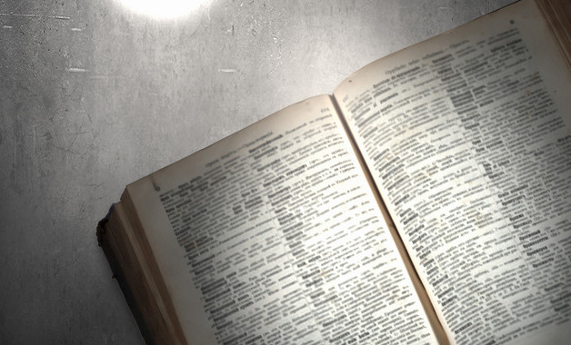 公司新员工转正工作总结范文3000字