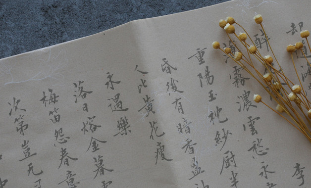 五年级语文上册梅花魂