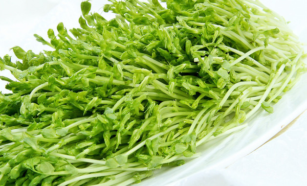 阳台封窗算不算违建